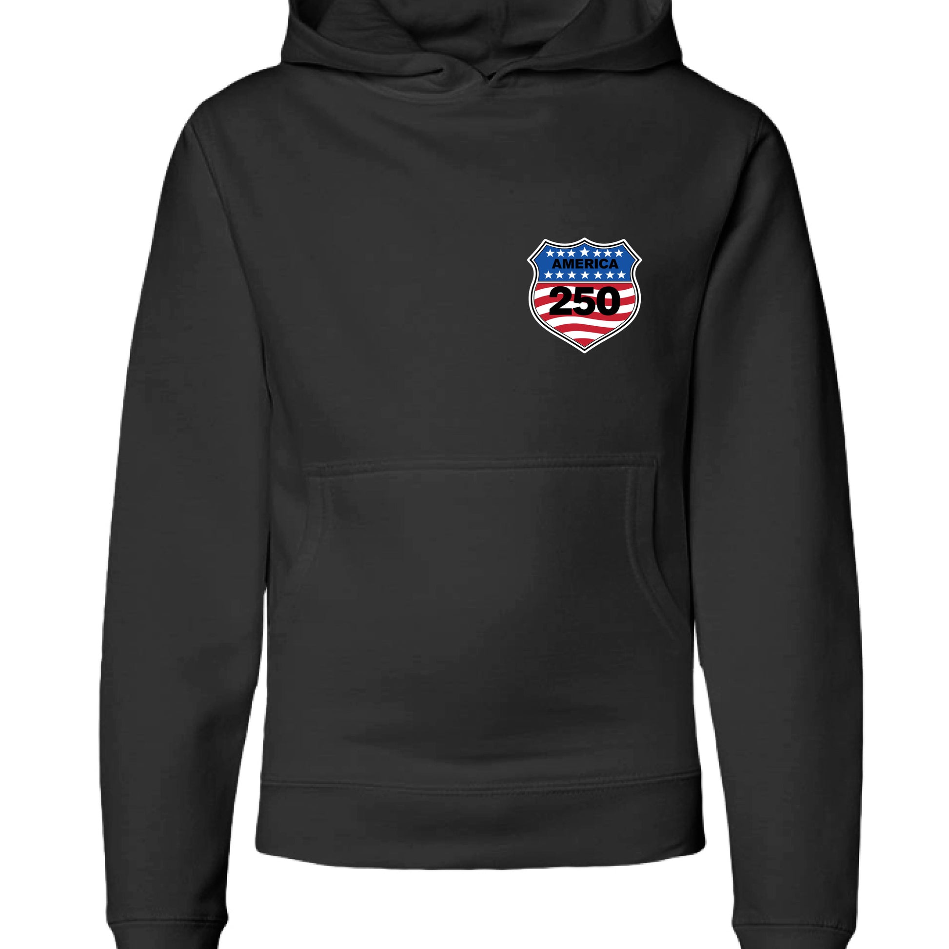 Black - FRONTshield 250 youth hoodie black front | land of the free 250